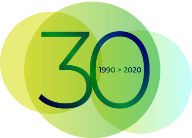 Logotipo 30 aniversario Procesos