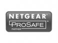 Logotipo Netgear Prosafe